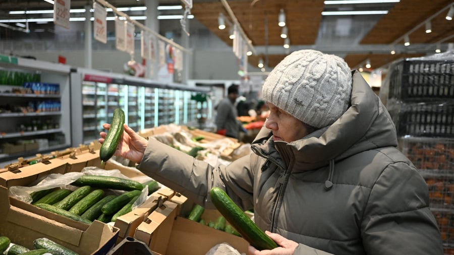 Russland: Hohe Gurkenpreise sorgen für Unmut in Russland