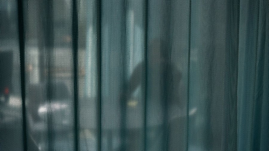 Geschenke mit Hintergedanken: Zwischen Gefallen und Gesetz: Wie erkenne ich Korruption?