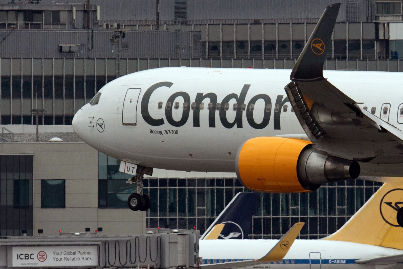 Condor Flug La Romana Nach Frankfurt