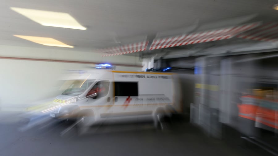 Patient gestorben: Frankreich meldet ersten Shamonda-Virus-Fall beim Menschen
