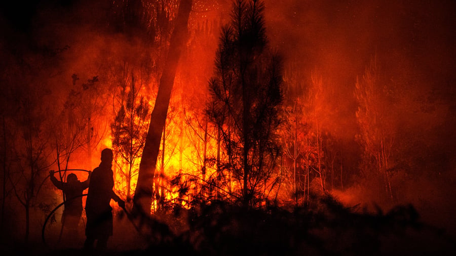 Waldbrände: Wie Deutschlands Industrie das Feuer unterschätzt