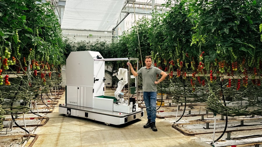 Eternal: Gewächshaus ohne Menschen: Wenn autonome Roboter die Tomatenernte übernehmen