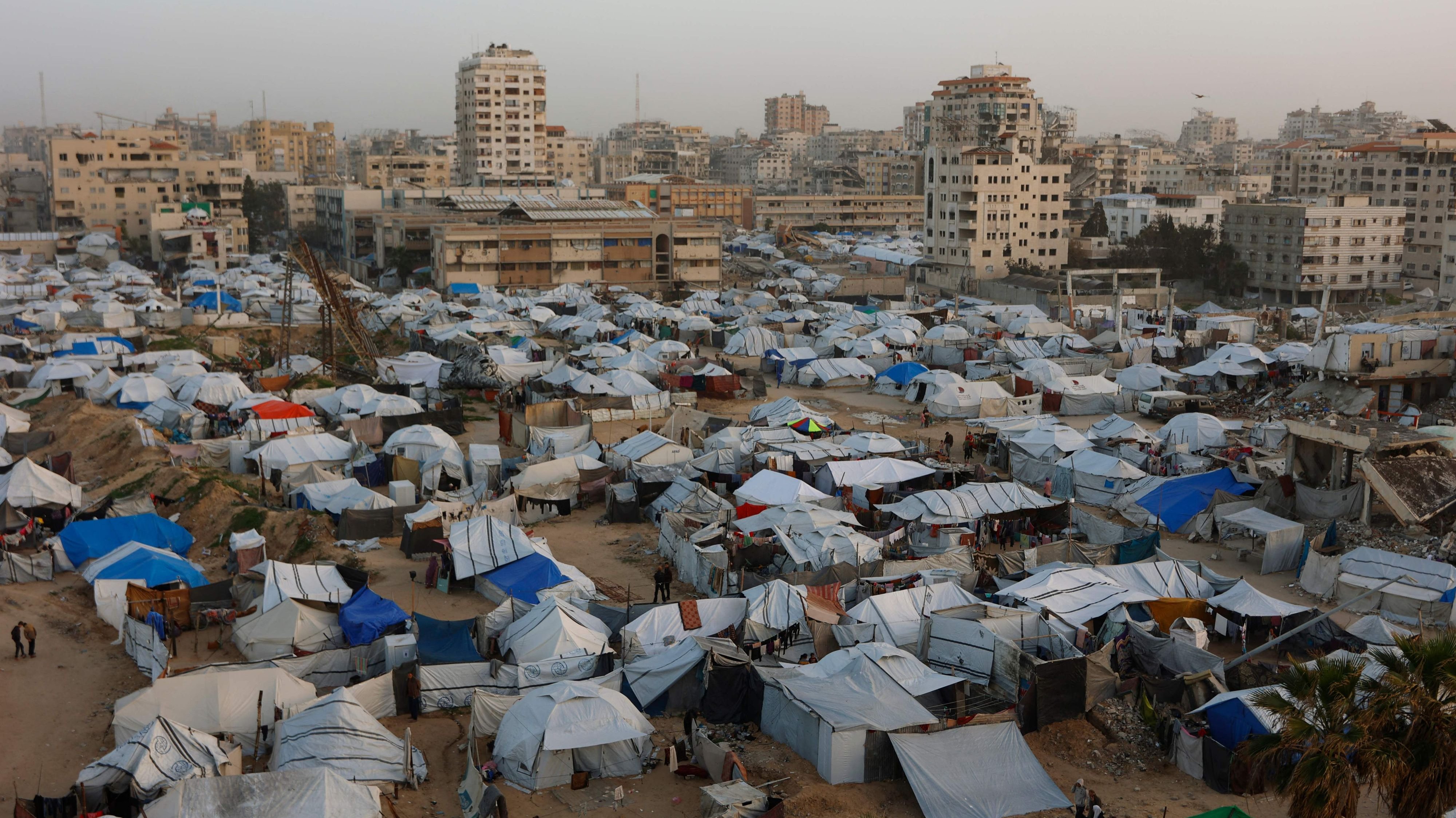 www.handelsblatt.com