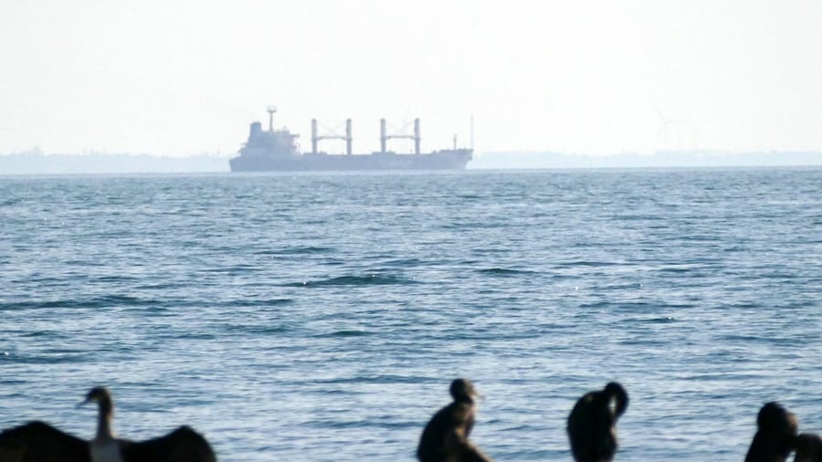 +++ Ukraine-Krieg +++: Russische Getreidelobby warnt vor Stopp der Exporte im Schwarzen Meer