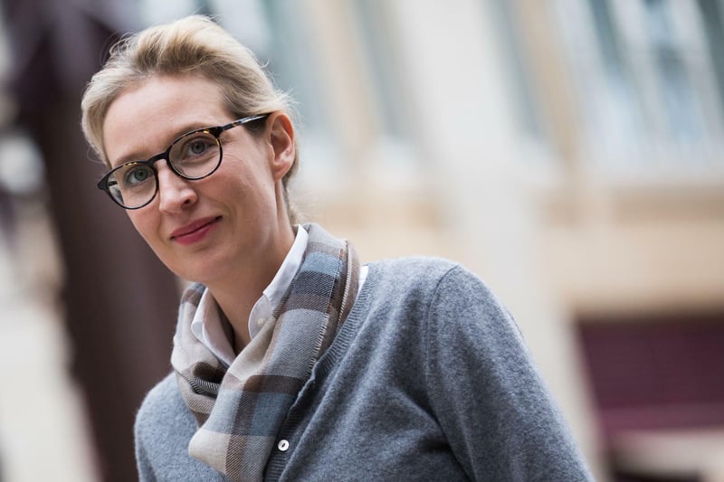 AfD-Spitzenkandidatin Alice Weidel: Zurück zur Anti-Euro-Partei