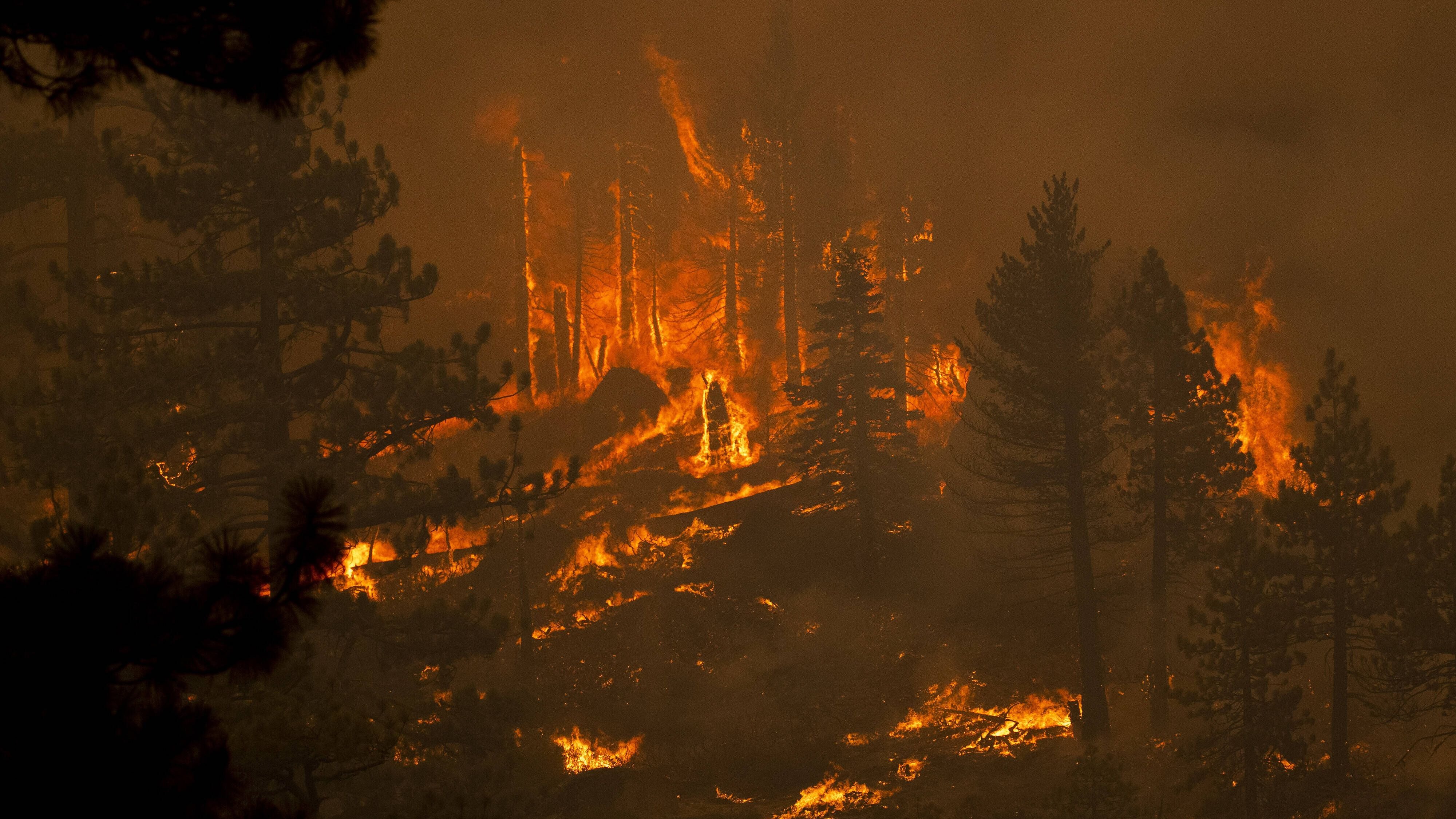 Naturkatastrophen: Milliarden um Milliarden: Die Folgen von Naturkatastrophen werden immer teurer
