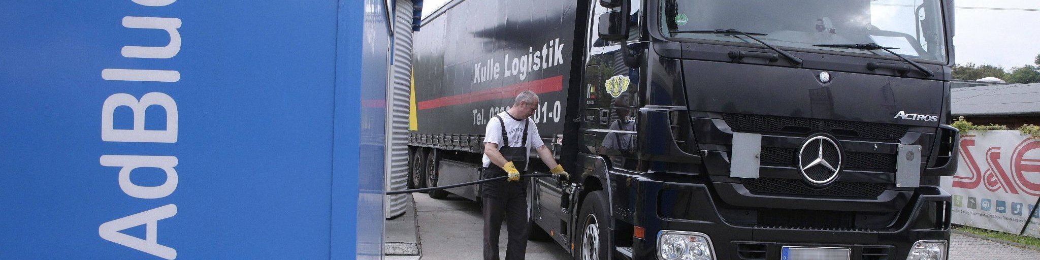 moos dünger rasen TerraDomi Eisendünger | Turbo-Rasendünger gegen Moos und  Mangelerscheinungen