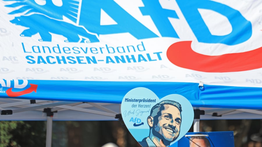 Debatte um AfD-Verbot: Staatsrechtler sieht rechtliches Risiko bei Teilverbot der AfD
