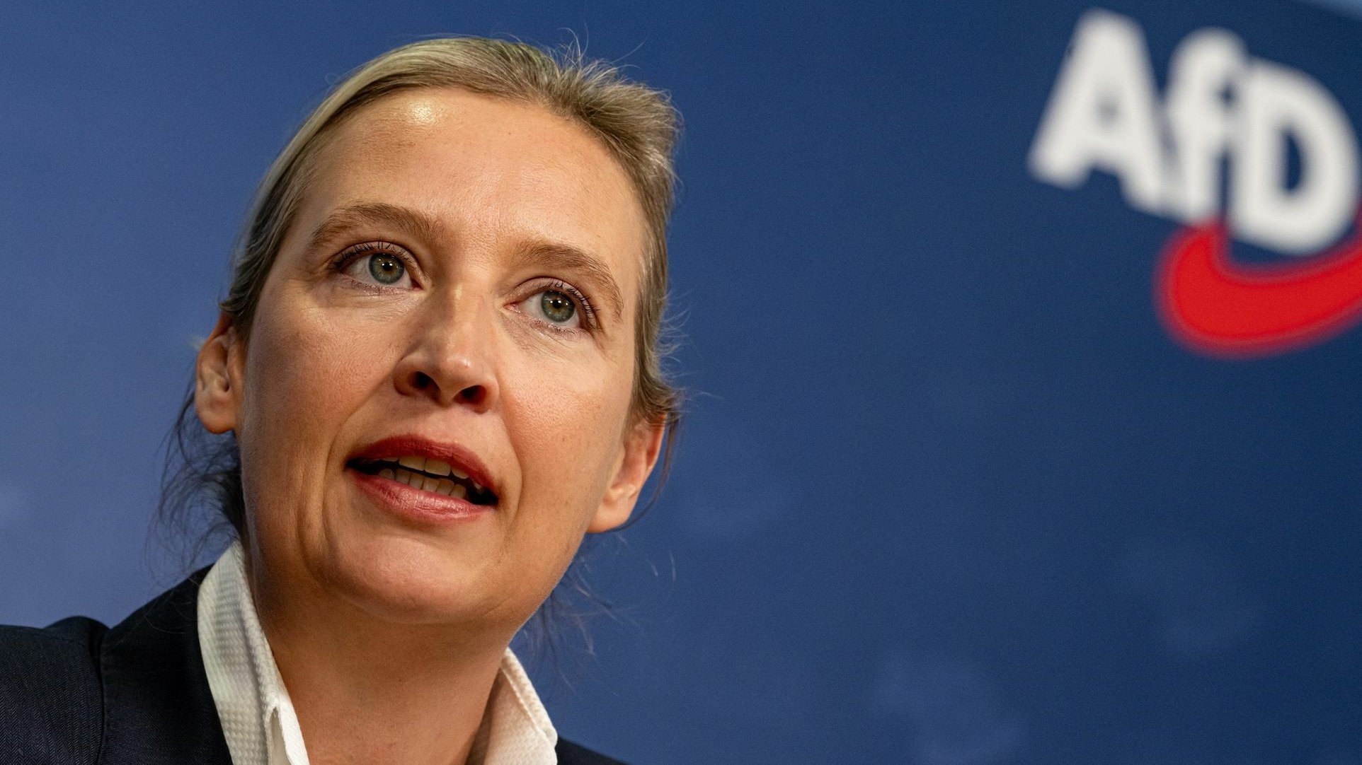 AfD-Leak: Wie Alice Weidel ihre Wahlkampfkasse steuerte