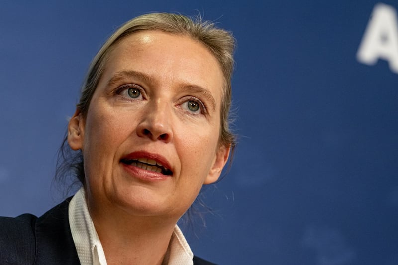 AfD-Leak: Wie Alice Weidel ihre Wahlkampfkasse steuerte