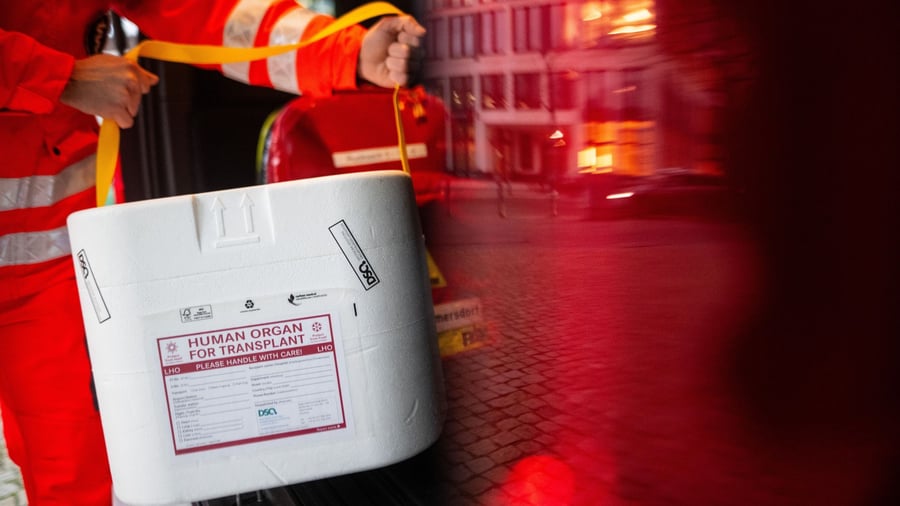 Von Ausweis bis Register: Organspende-Entscheidung festhalten: Diese Wege gibt es