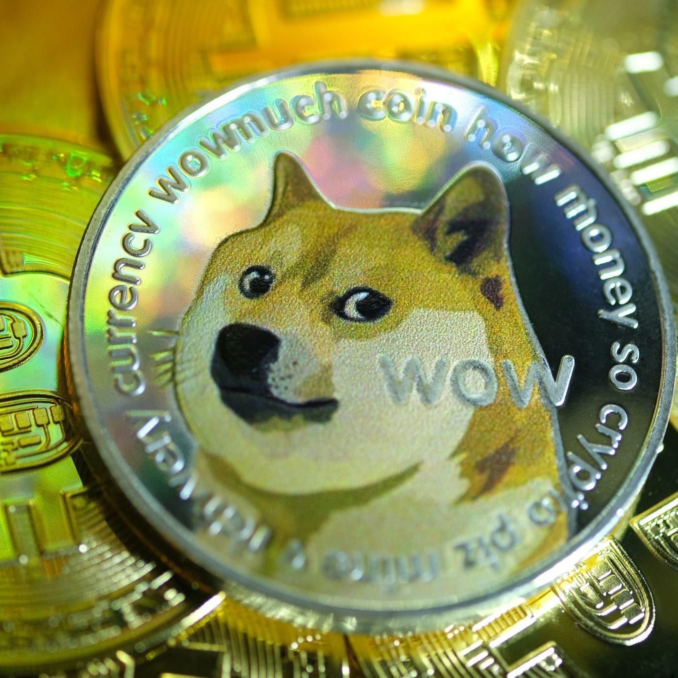 Dogecoin Kurs: Sorge um Dogecoin-Kurs wegen Kryptomarkt-Blase