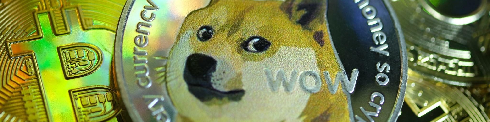 Dogecoin Kurs: Sorge um Dogecoin-Kurs wegen Kryptomarkt-Blase