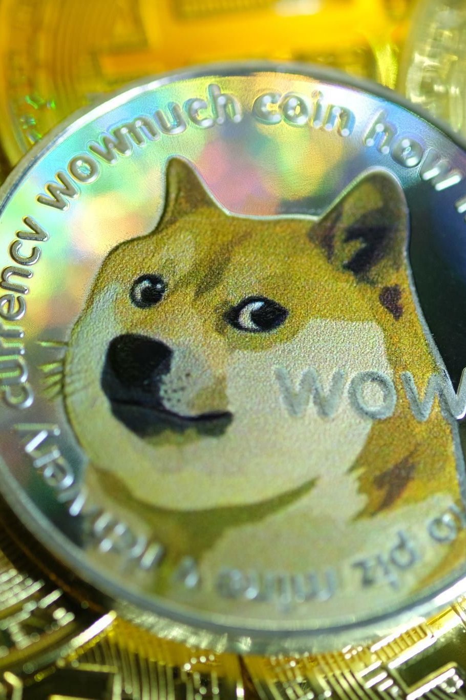 Dogecoin Kurs: Sorge um Dogecoin-Kurs wegen Kryptomarkt-Blase