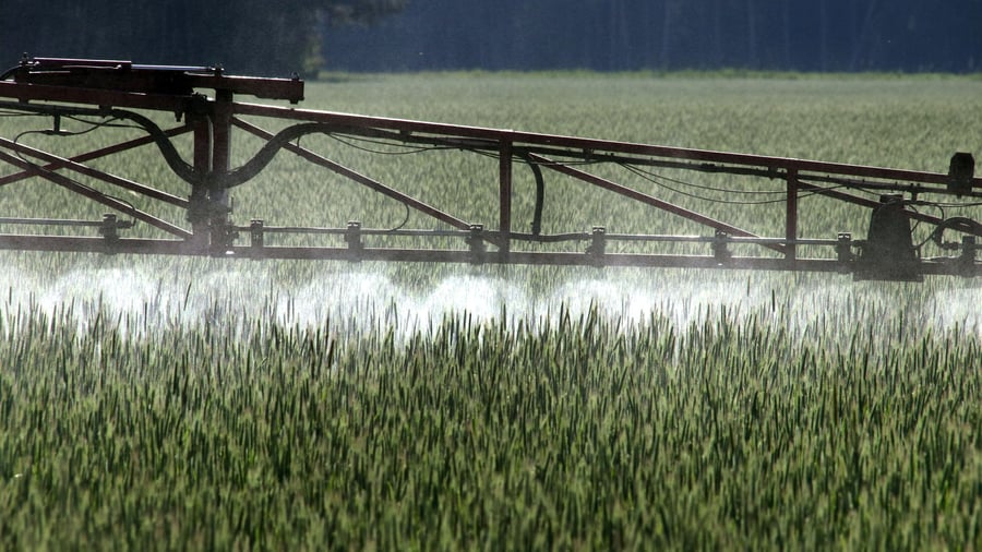 Unkrautvernichter: Bayer gewinnt Glyphosat-Prozess – Aktie steigt vorbörslich