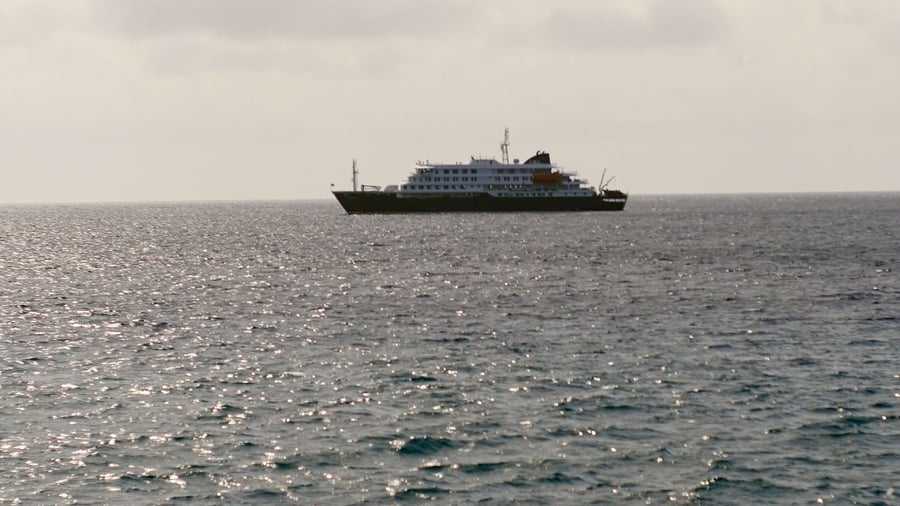 Gefährlicher Erreger: Hantavirus-Ausbruch auf Schiff: Was wir wissen und was nicht