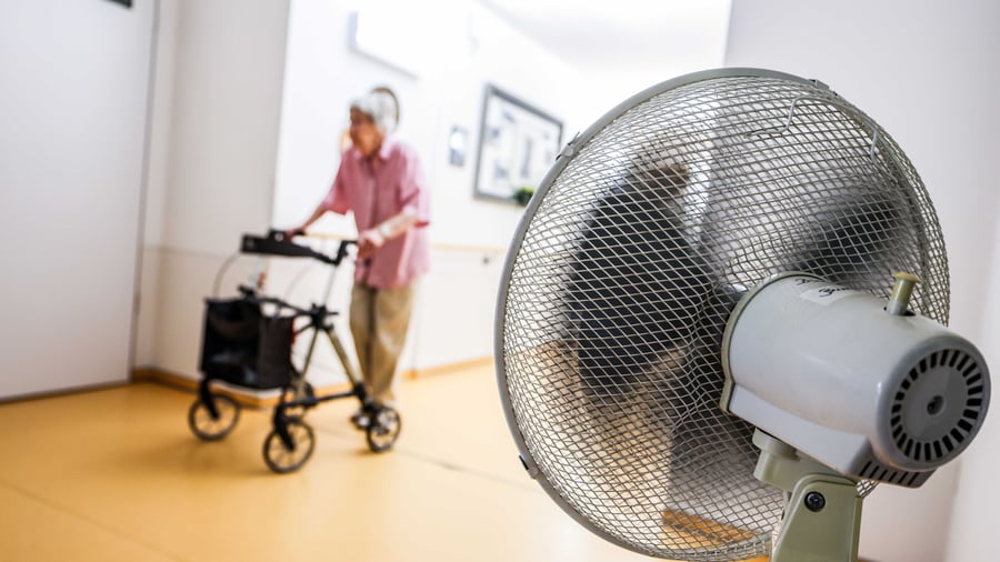 Hitzewelle: Schon mehr als 800 Hitzetote in Deutschland