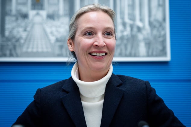 Bundestagswahl 2025: So wurde AfD-Frontfrau Alice Weidel so mächtig