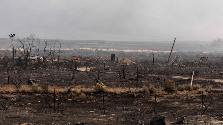 Waldbrände: Brände im US-Bundesstaat Nevada – Dutzende Häuser zerstört