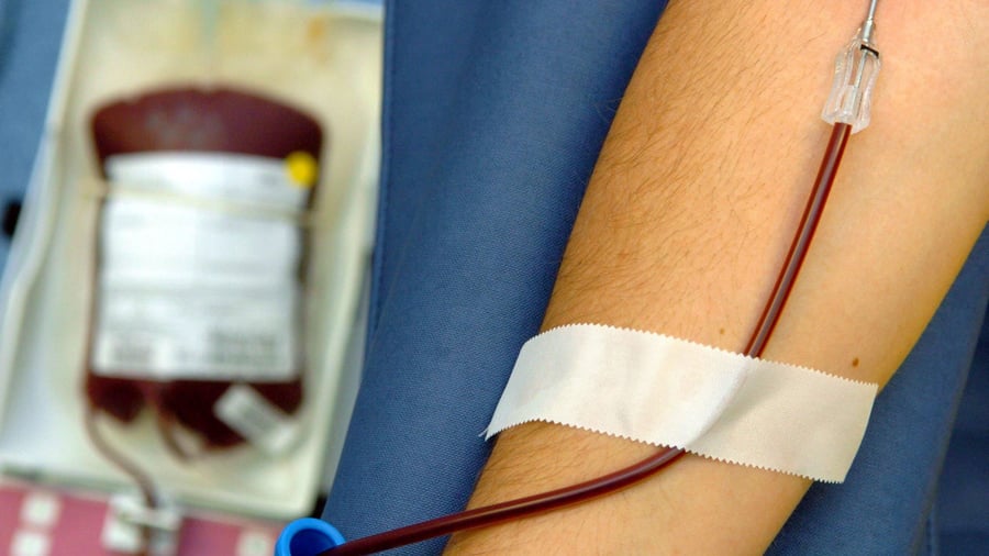 Blut spenden: So viel Geld lässt sich mit Plasmaspenden verdienen