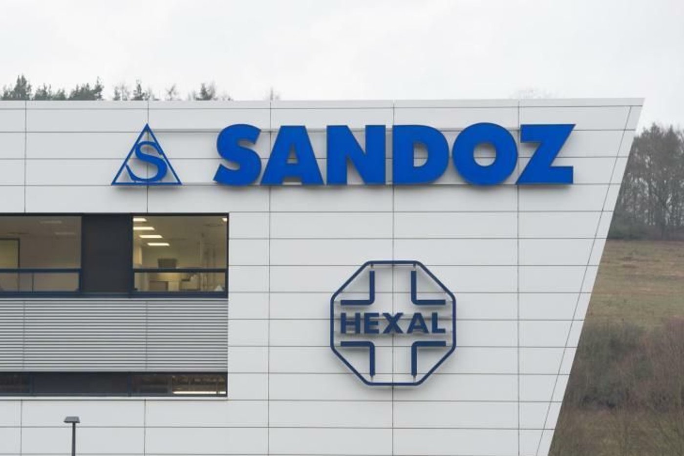 Pharmaceutical industry: Generics company Sandoz aims to acquire French ...