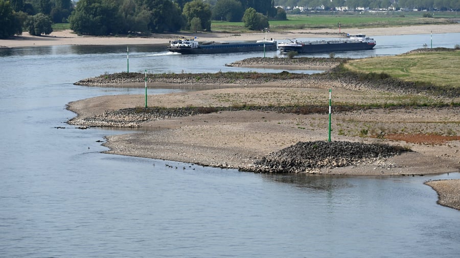 Rhein: So setzt das Niedrigwasser der Wirtschaft zu