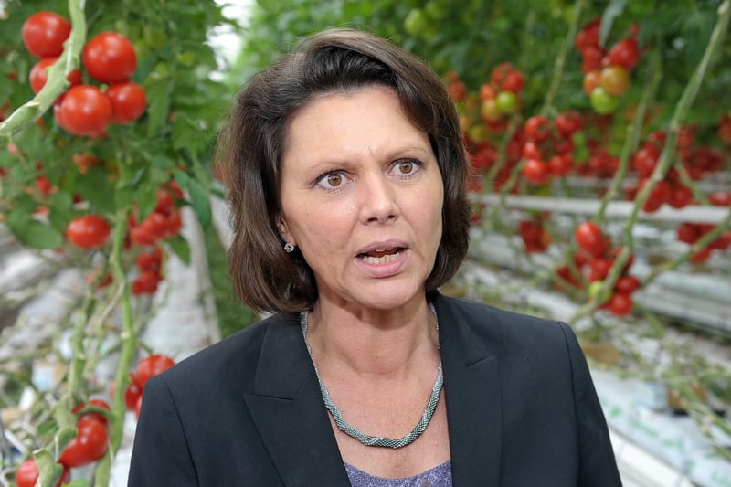 Landwirtschaft: Aigner lehnt Saatgut-Plne der EU ab