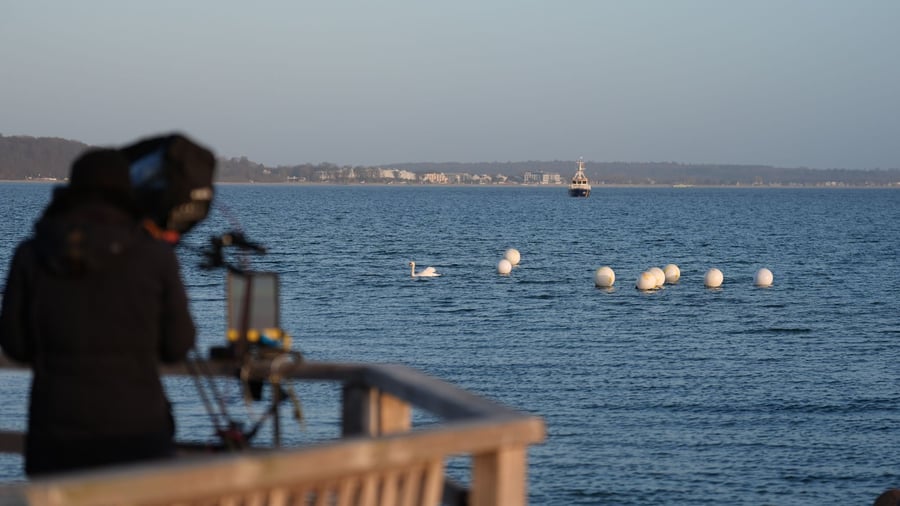 Gestrandeter Wal in SH: Buckelwal befreit sich in der Nacht von Ostsee-Sandbank