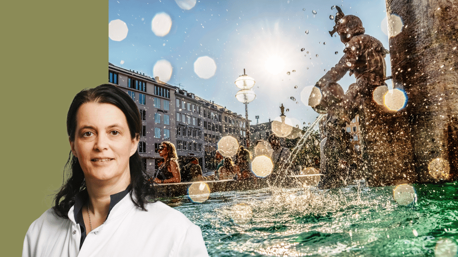 Gastkommentar: Ein einzelner Hitzetag kostet rund 