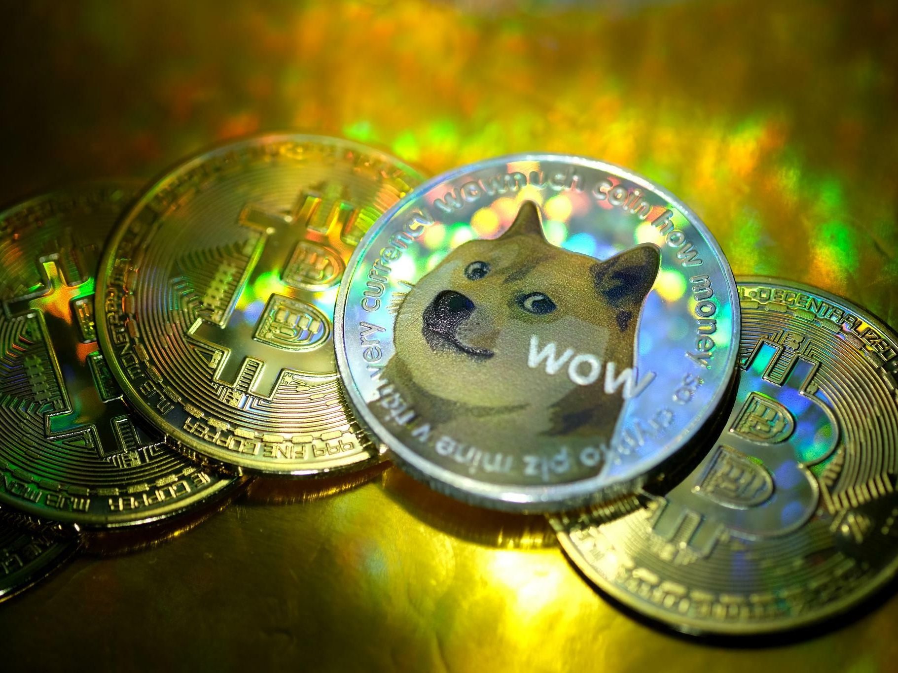 Kryptowährungen Dogecoin und Safemoon: Coins mit großem Risiko