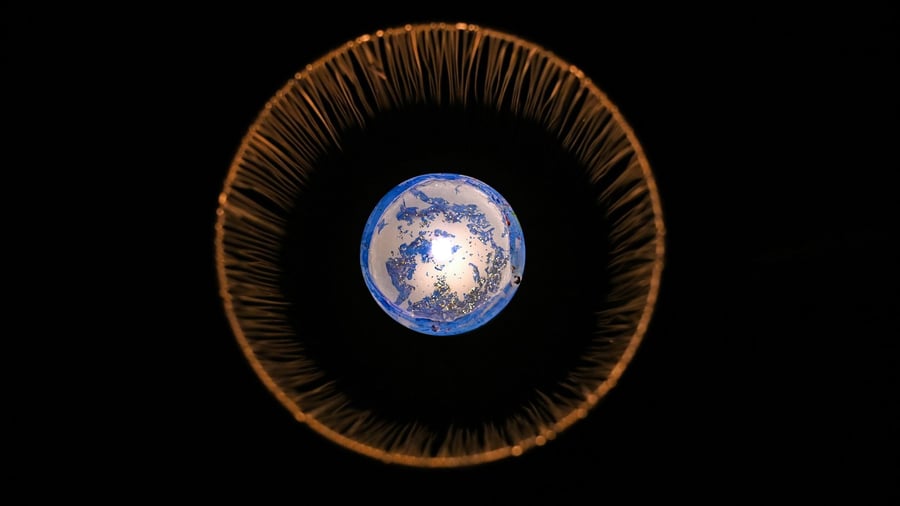 Weltweite Klimaschutzaktion: Licht aus für die Erde: „Earth Hour“ rollt in Neuseeland los