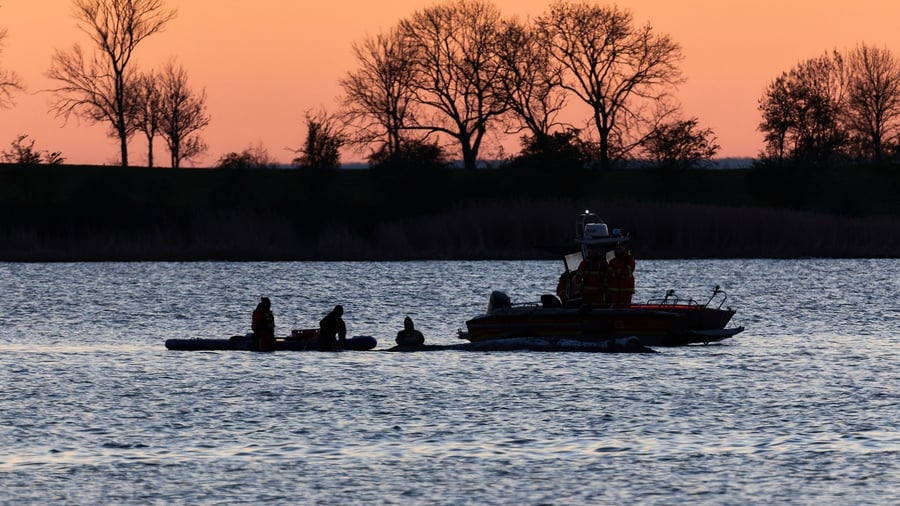Buckelwal vor Poel: Ministerium setzt auf neues Konzept für Wal-Rettung